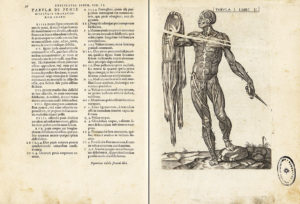 webr_3.3 Amusco 35598 B Tabula I Libri II